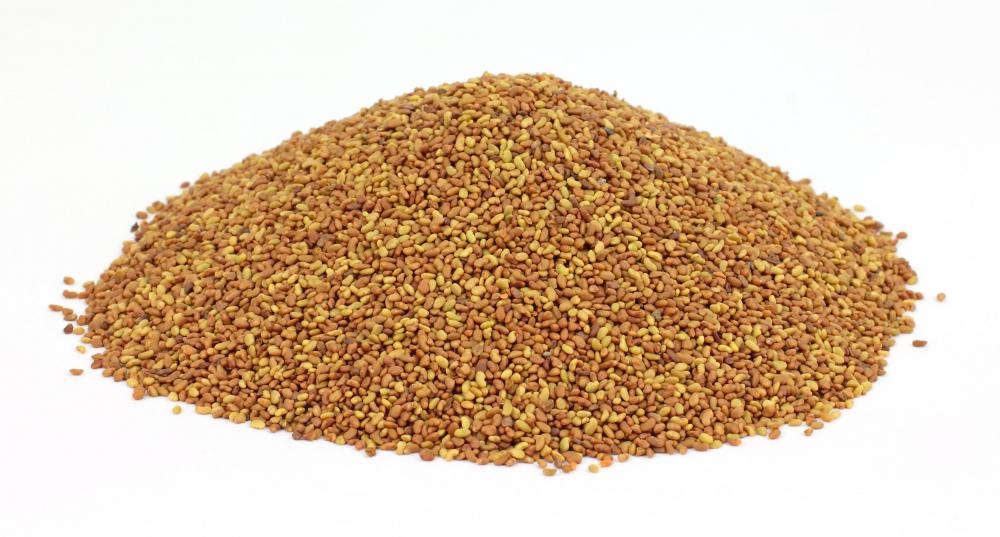 Alfalfa seeds.