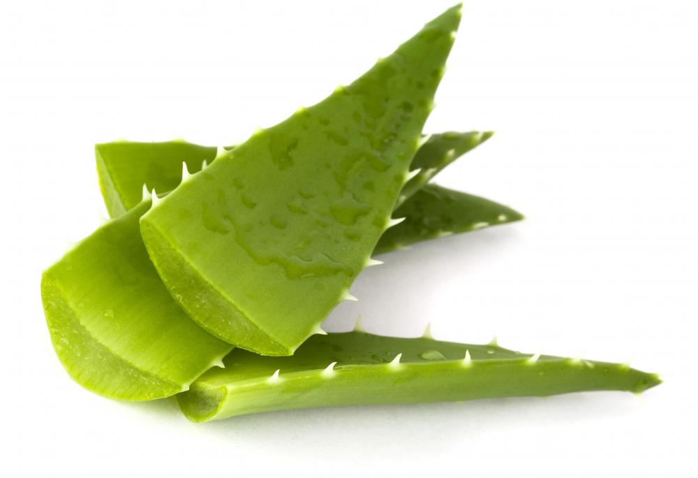 Aloe vera is commonly used to relieve heat rash.