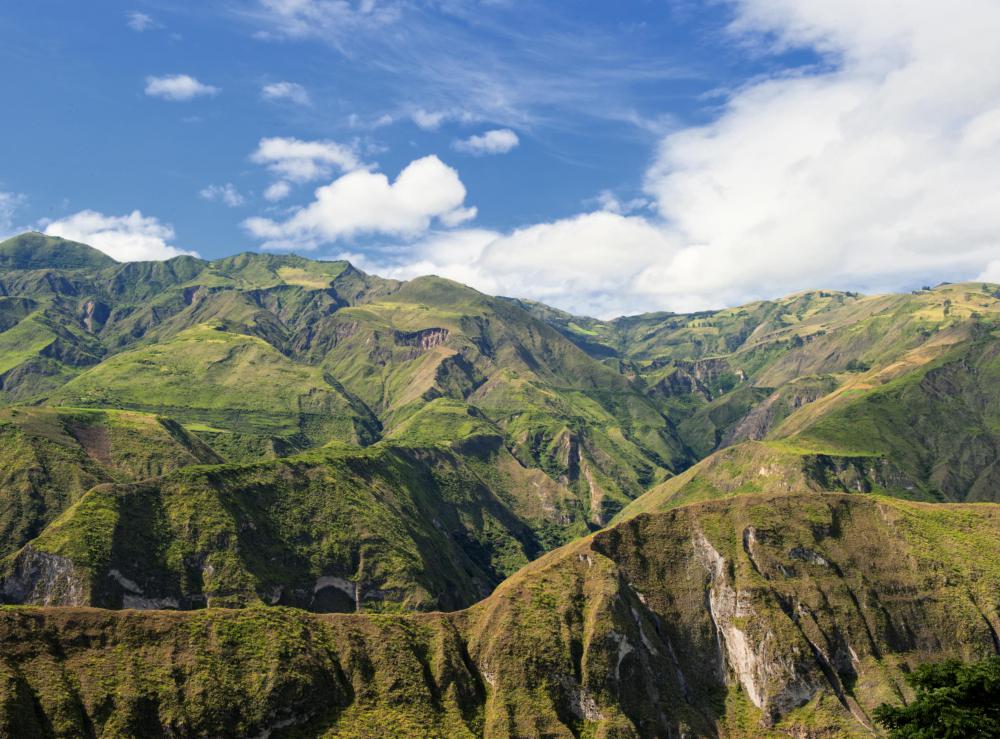 Maca is native to the Andes of South America.