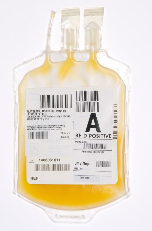 A bag of blood plasma.