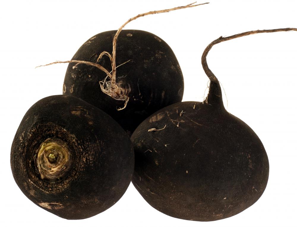 Radish oil is said to stimulate the appetite.