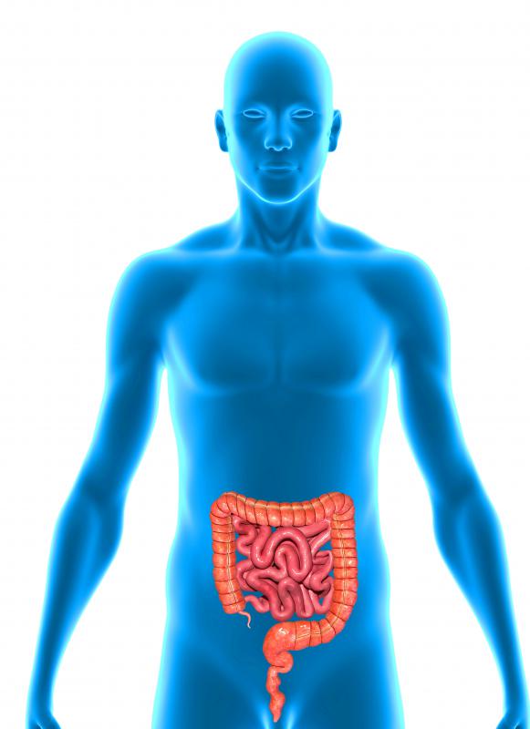 The blood of a patient with hematochezia indicates that there is bleeding in the lower part of the intestinal tract.