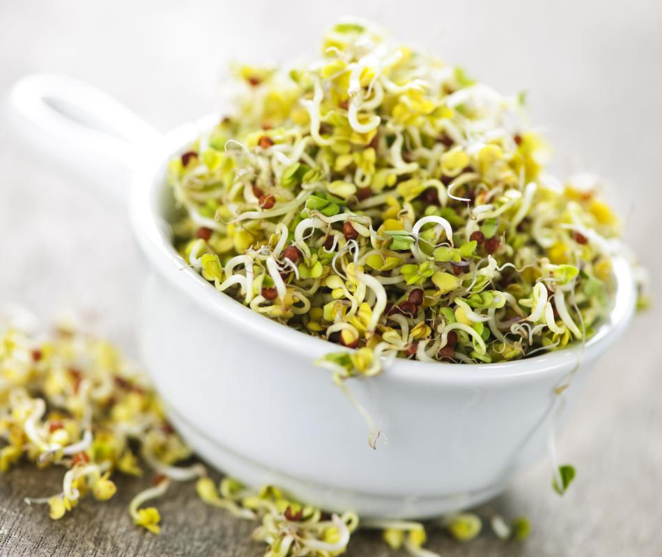 Alfalfa is a good source of vitamin D.