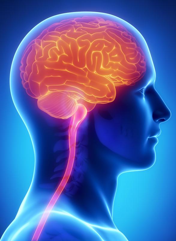 The pyramidal tract is located on the motor strip, which is also called the primary motor cortex.