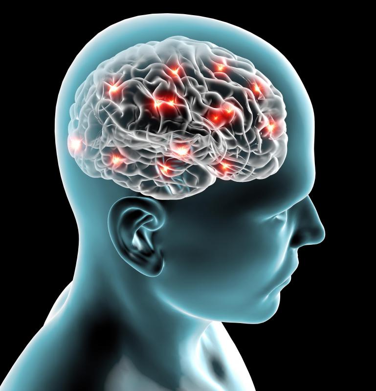 Axons may send signals to distant areas of the brain.