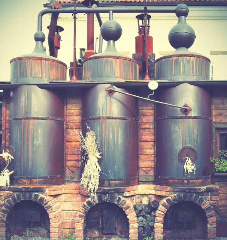 Brewer's yeast is used in the brewing of beer.