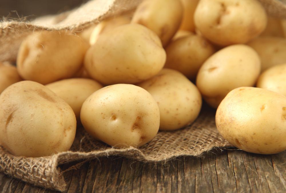Glucoamylase is in the saliva and activated when people eat foods such as potatoes.