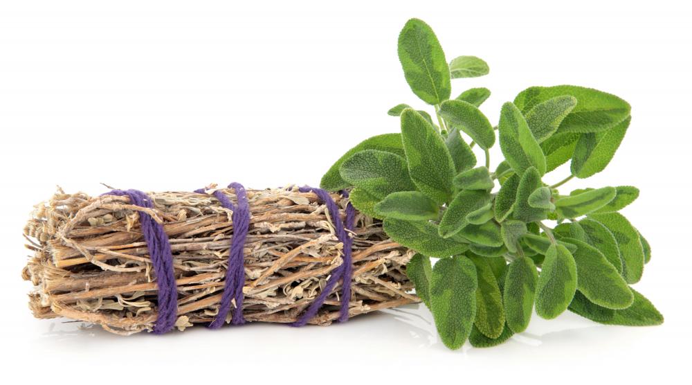 Sage contains small amounts of carnosic acid.