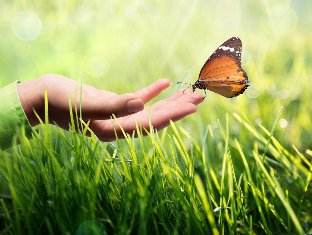 Sensory neurons help the brain react to various stimuli, such as touch.