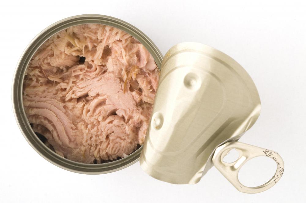 Canned tuna is safe for pregnant women in moderation.