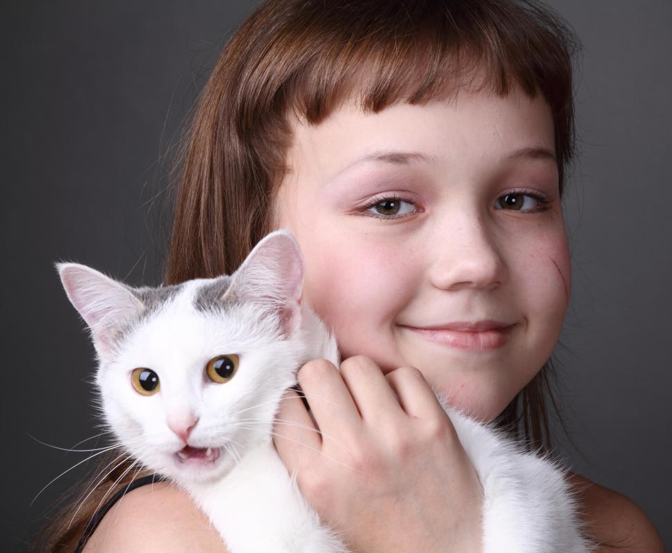 Getting a pet can often help people overcome lonely feelings.