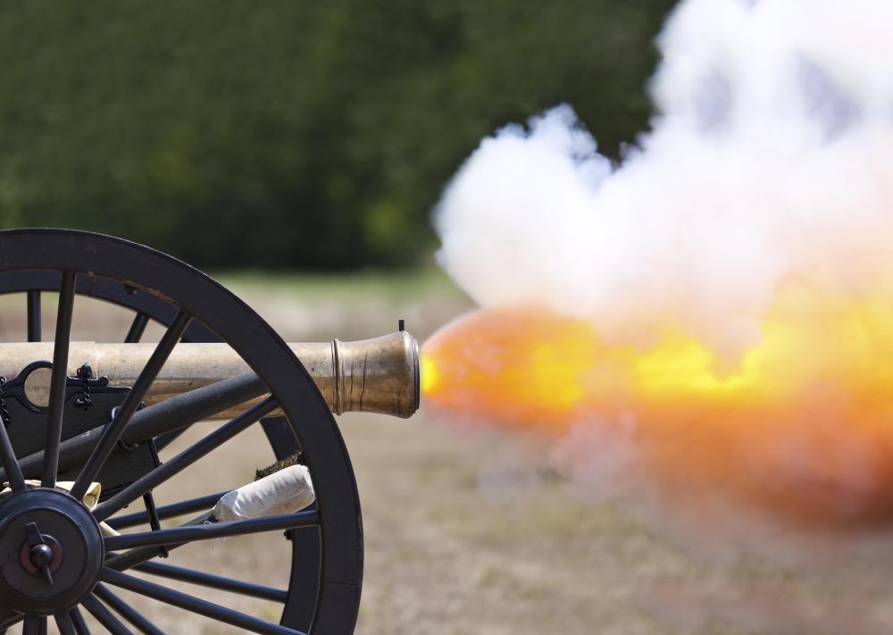 With medical supplies during the U.S. Civil War scarce, maggots were often used to treat wounds.