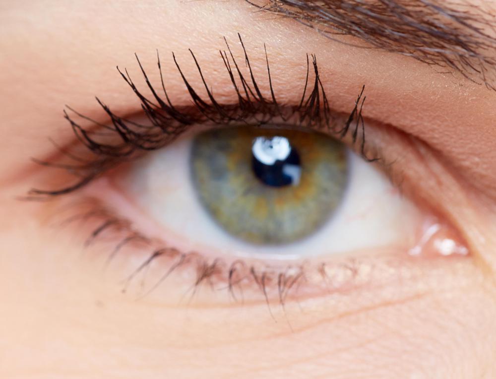 The gene responsible for eye color has multiple alleles.