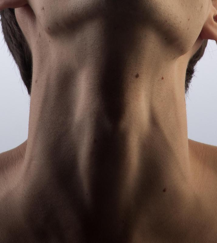 There are two jugular veins on each side of the neck.