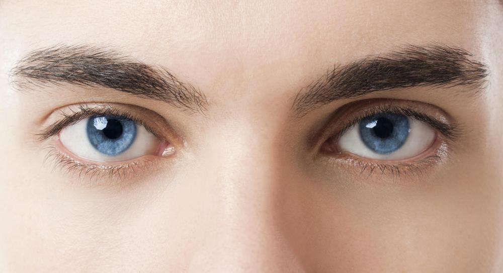 A sphincter regulates pupillary movement in each eye.