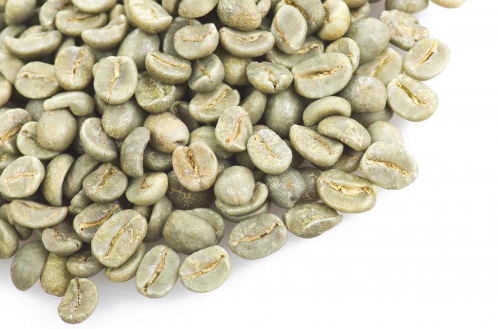 Coffee cruda, or unroasted coffee beans.