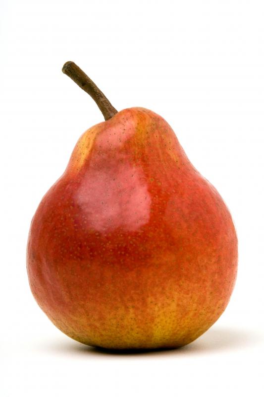 Soft diet foods may include pears.