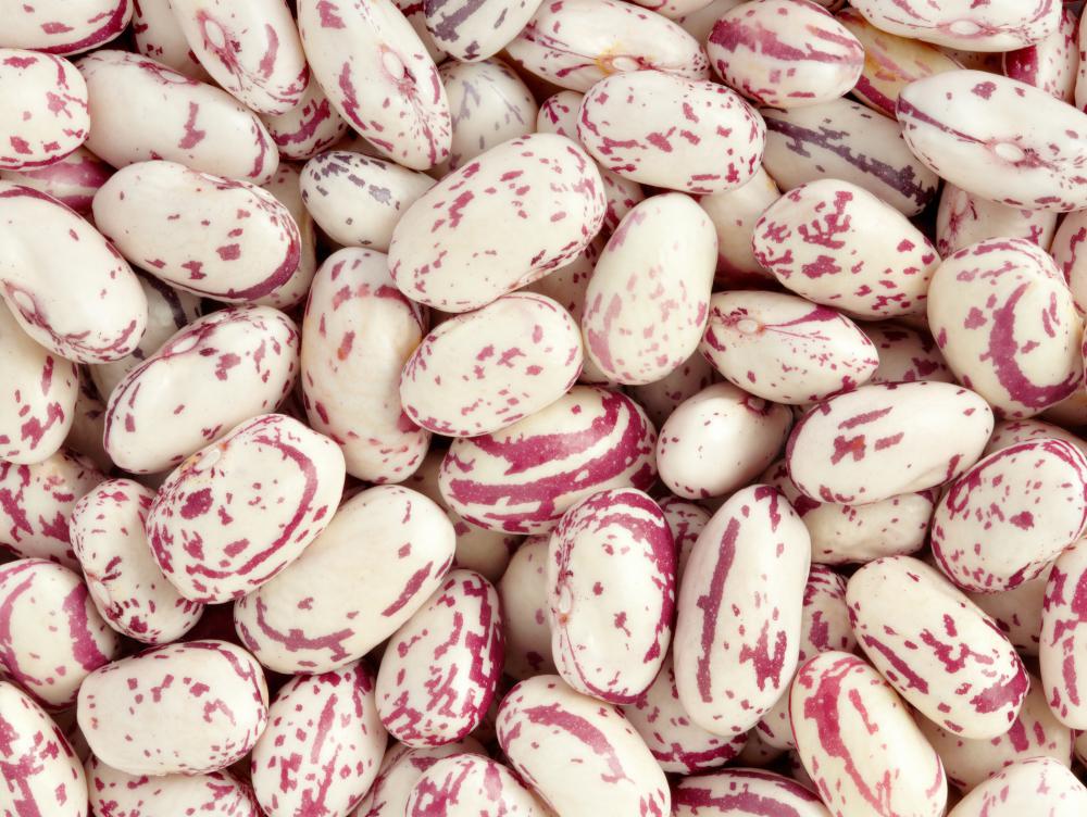 Beans are a good source of niacin.