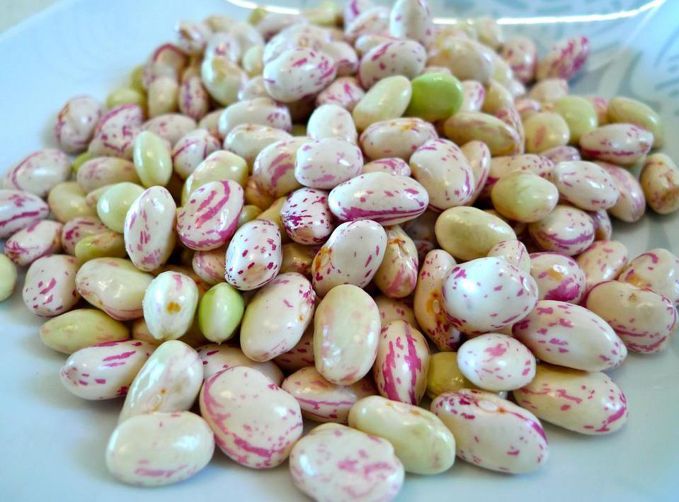 Beans are a good source of potassium.