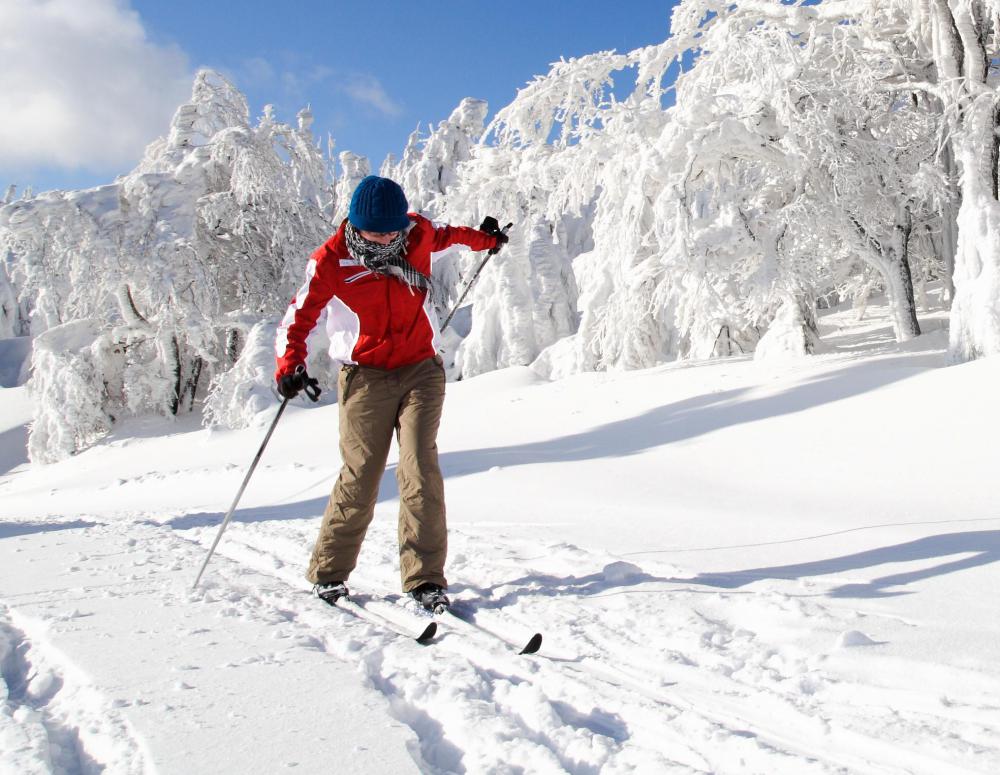 In winter, running in a quadrathlon might be replaced with cross country skiing.