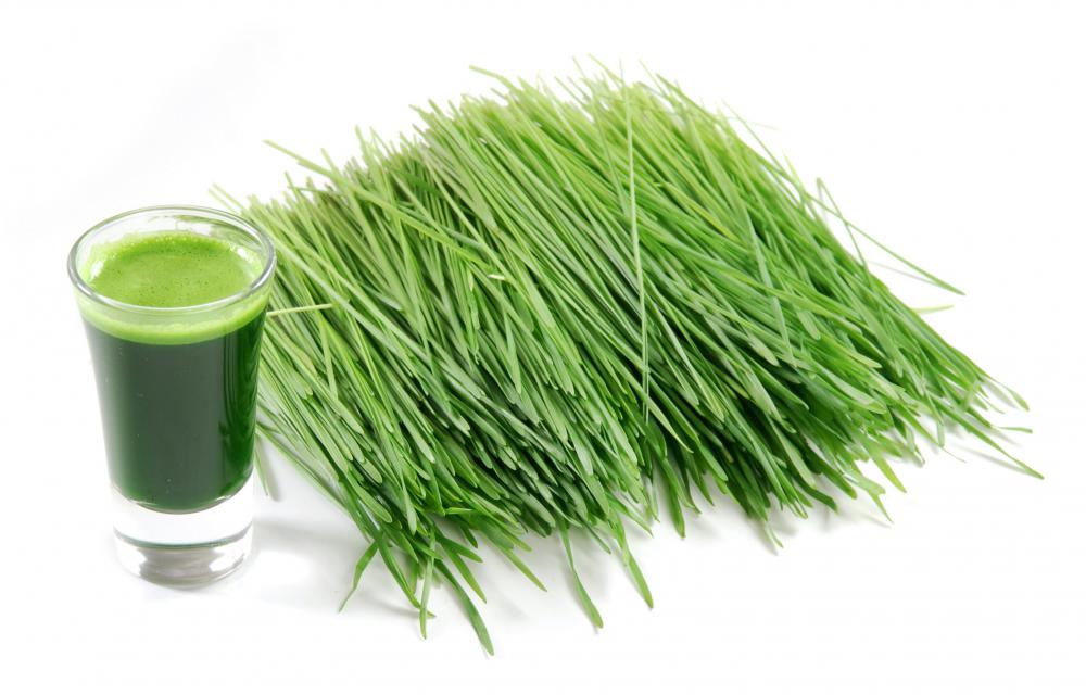 Wheatgrass is a blood building food.