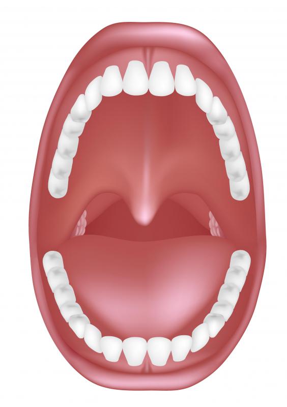 HPV can cause warts in the mouth.