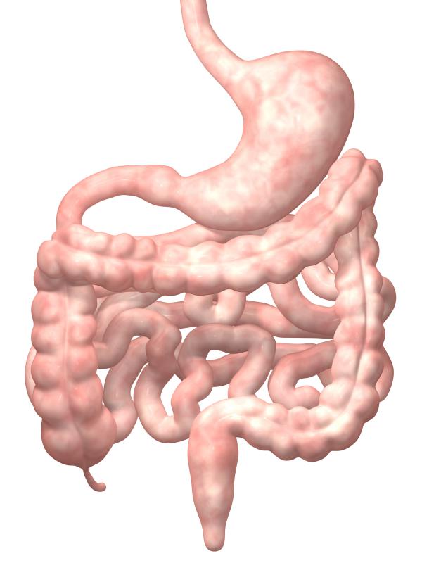 Probiotic capsules are taken to improve the digestive system.