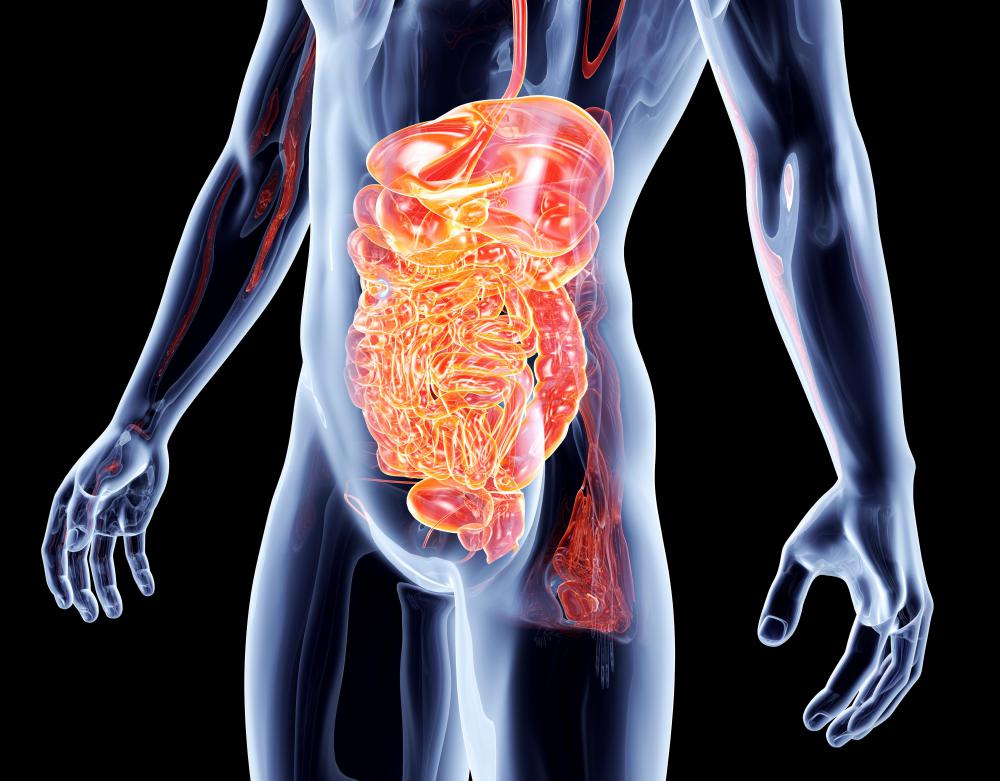 Chyme is what is left after the stomach breaks down food for use in the body.