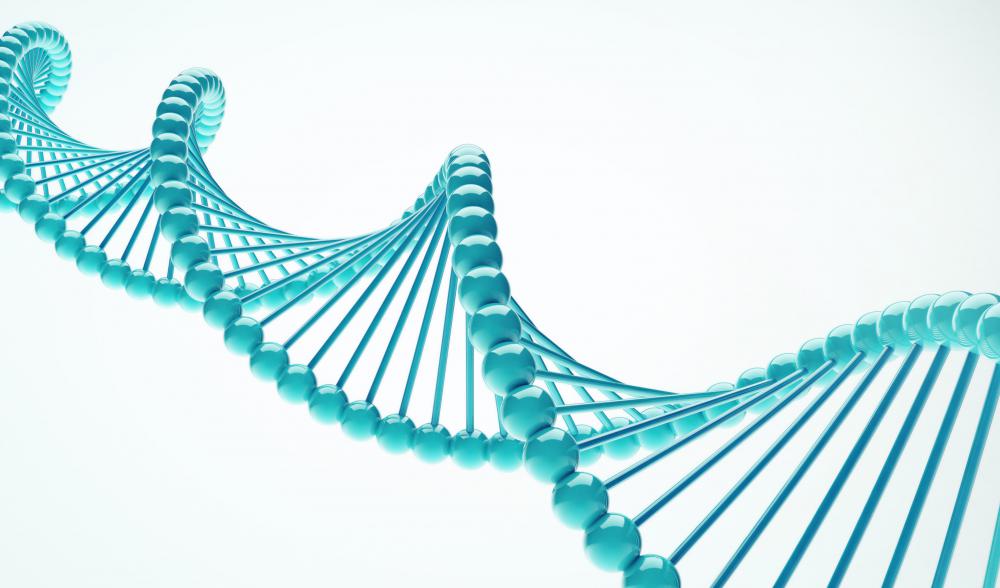 DNA technology may play a role in possible future human cloning.