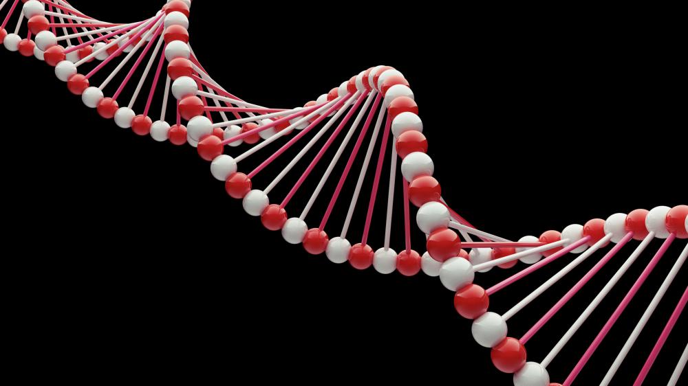 Genetic disorders range from trivial to major.