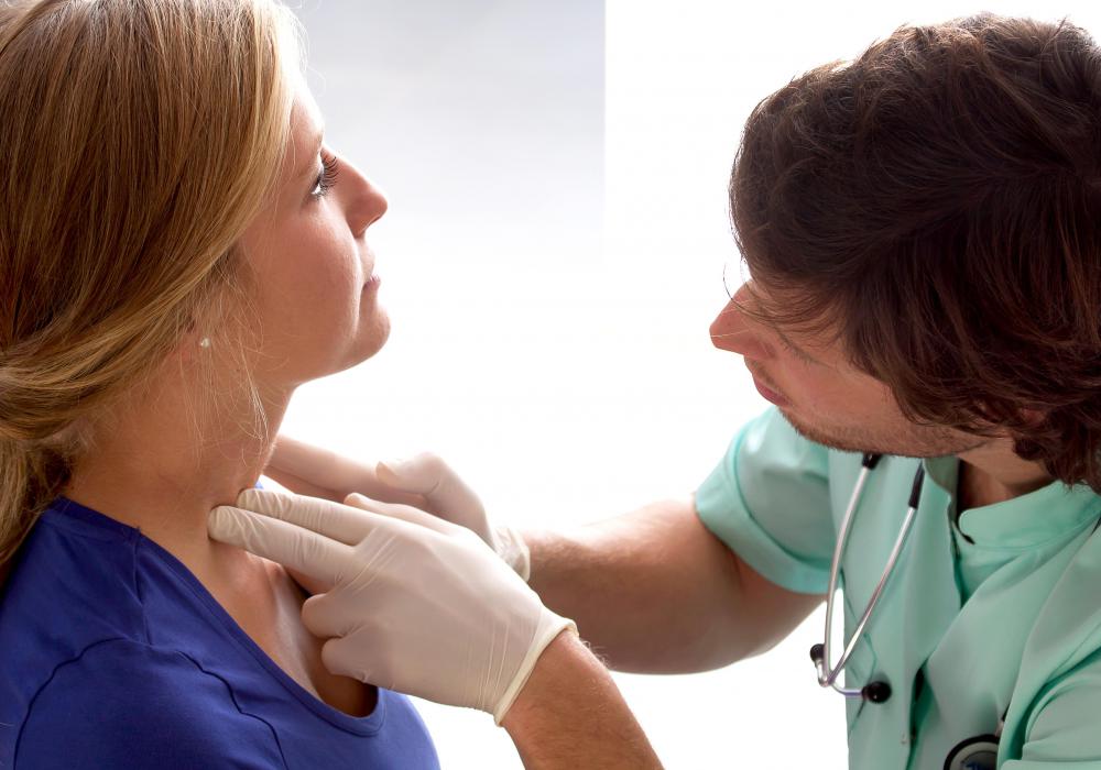 The first primary lymph duct runs along the abdomen to the neck.