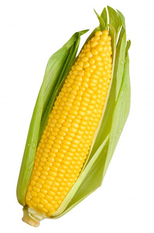 Oil made from corn is usually polyunsaturated.