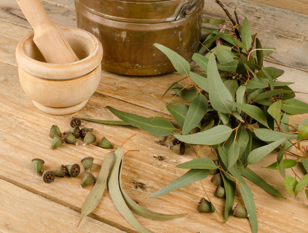 Some cough drops contain eucalyptus.