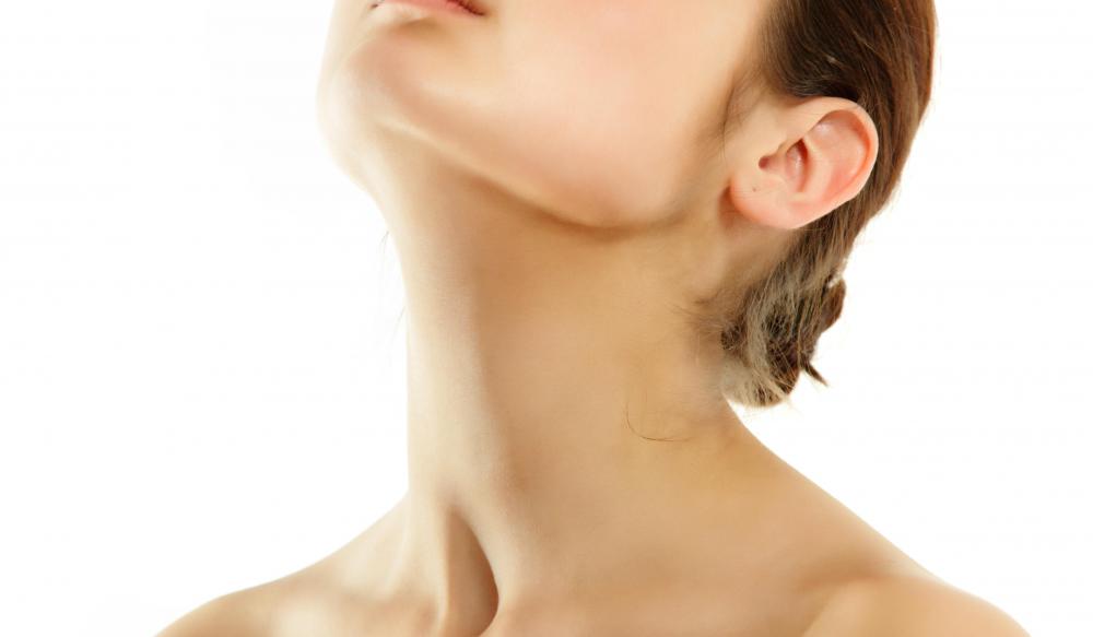 The neck is a movable joint.