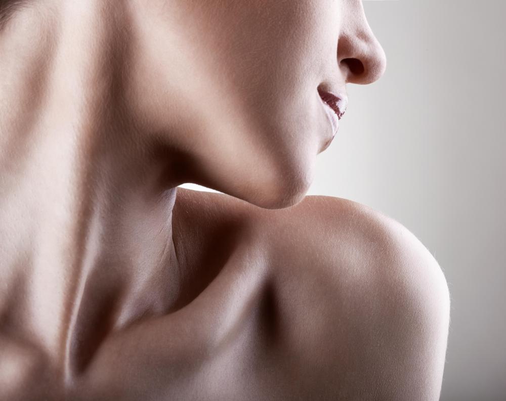 Movable joints include the shoulder.