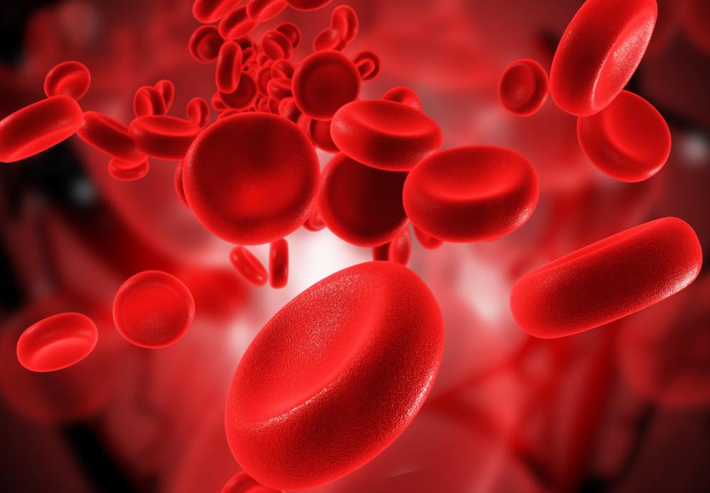 Mature red blood cells constitute 40 to 45 percent of human red blood cells.