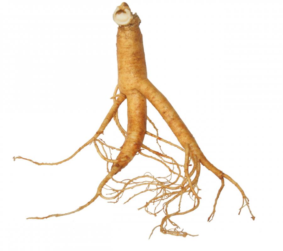 Gingseng root is a common ingredient in blood tonics.