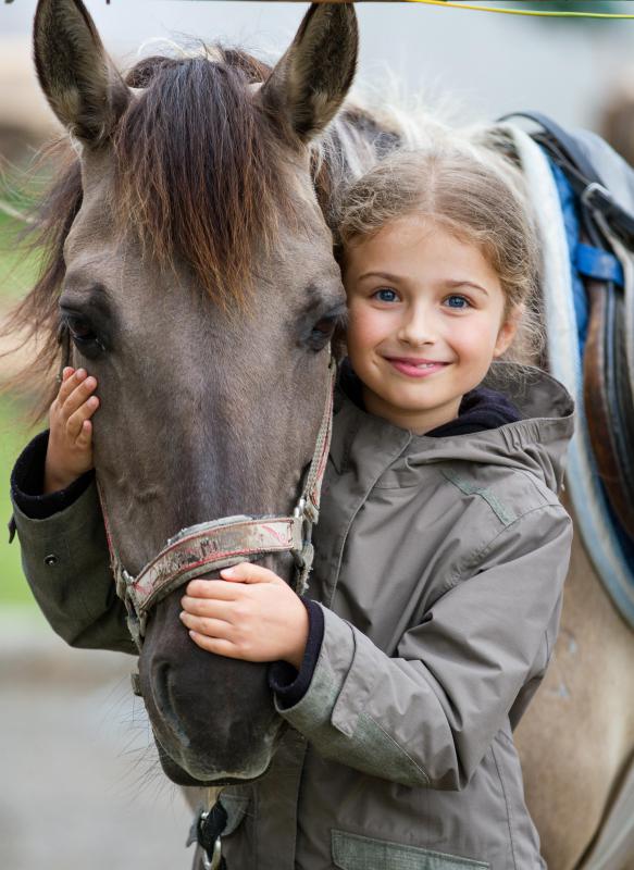 Horses are often used for pet therapy with children.