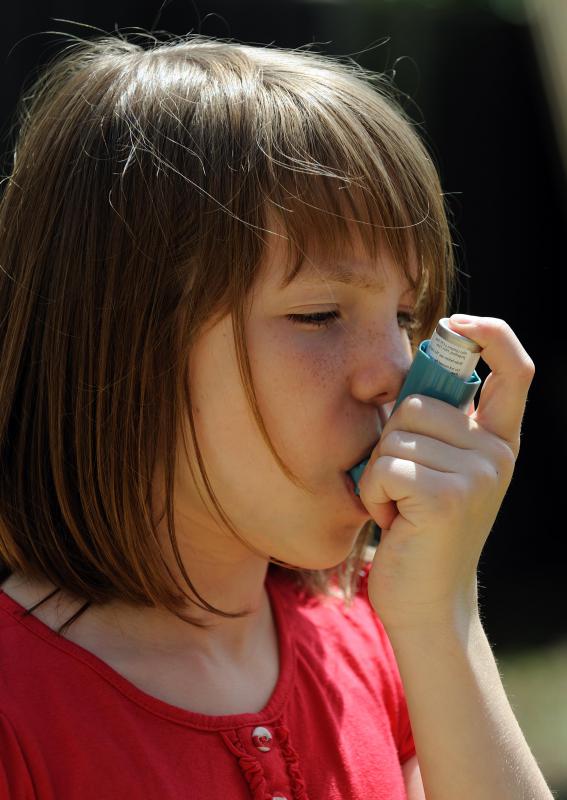 Some prescription medications to treat asthma are created with extracts from angel's trumpet.