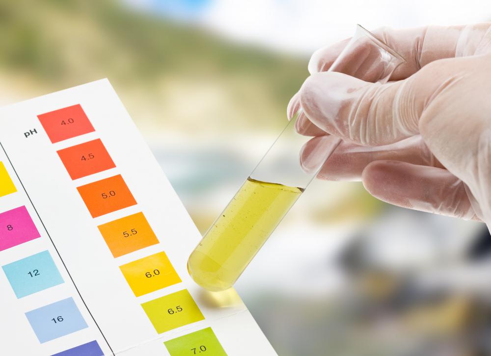 Maintaining the proper level of acidity in the blood is a very important homeostatic function.
