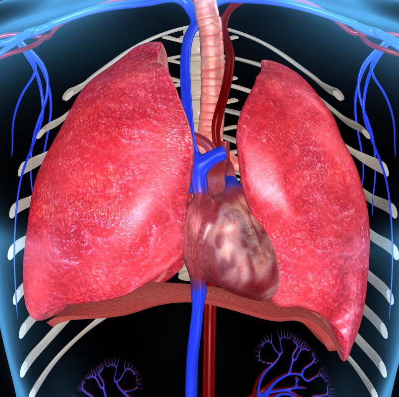 Heart or lung transplants may require a sternotomy.