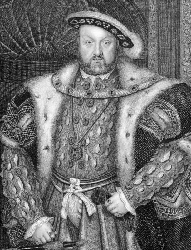 Because it was used by King Henry VIII, yellow sweet clover is also known as king's clover.