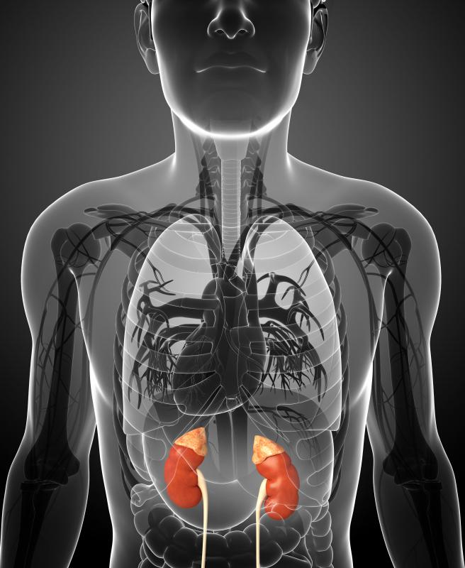 People with kidney disorders should not take histidine in supplemental form.