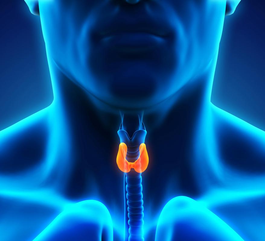 Hypothyroidism may cause galactorrhoea.