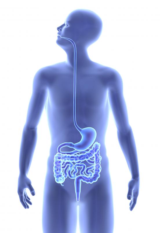 An ileostomy involves taking the end of the small intestine and disconnecting it from the large intestine.
