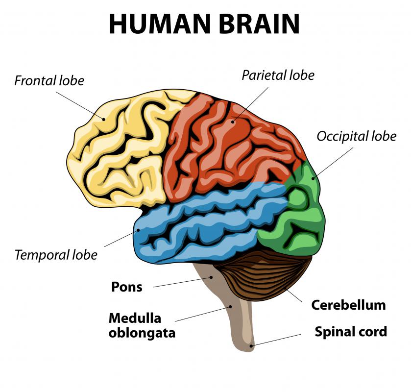 A stroke can cut off blood supply to part of the brain.