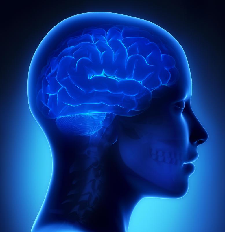 Brain functioning is affected by the respiratory system.