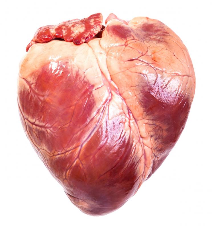 An abnormal ECG may be the result of a congenital defect in the heart.