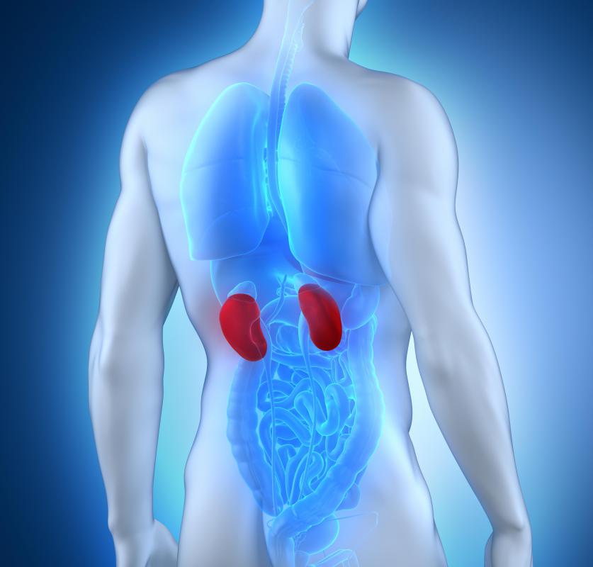 Several antibiodics can treat kidney infection.