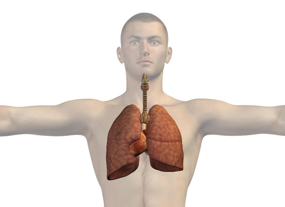 Existing lung disease may cause back pressure in the heart.